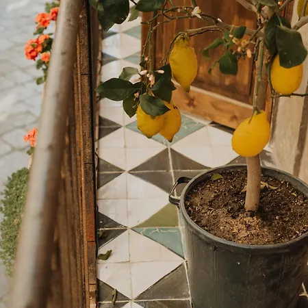 Ambrosia-timeless Hosting 4* Palermo